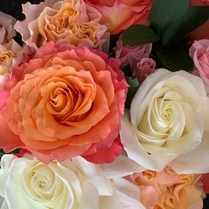 Meet your Posher, Jill